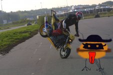 niklas1.jpg
