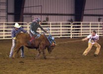 Rodeo.jpg