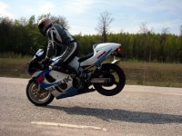 stoppie otee.jpg
