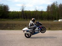 wheelie O.jpg