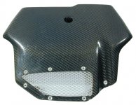 CarbonNumPlate_600.jpg