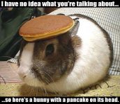 bunny[1].jpg