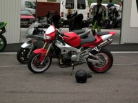297_9727.jpg