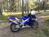 IMG_1015.JPG