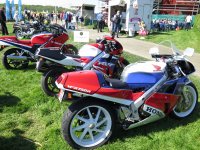 IMG_8091 (1280x960).jpg IMG_8091 (1280x960).jpg