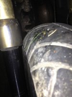 IMG_0257.jpg IMG_0257.jpg