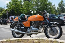 DSC_0486.jpg