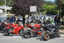DSC_0491.jpg