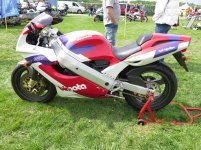 IMG_3813.jpg