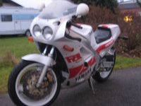 Bild 296.jpg