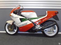 Ducati 851 Tricolore -88 0766883436 4.jpg