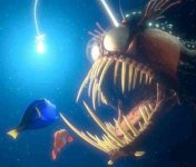 Finding_nemo_anglerfish_108.jpg