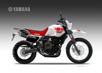 XTR 700 TENERE.jpg