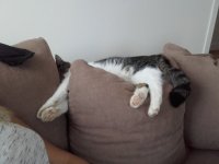 20160305_165842.jpg
