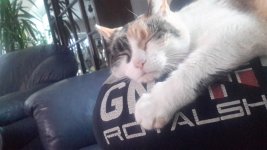 20190115_151648.jpg