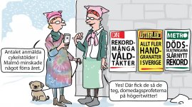 malmövåld.jpg