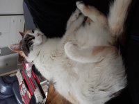 20190129_141644.jpg