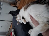 20190203_141654.jpg