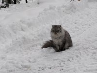 IMG_20190202_143809.jpg