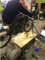 tedyno.JPG