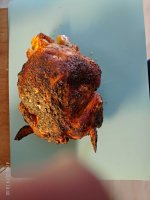 P_20190504_184049_1.jpg P_20190504_184049_1.jpg