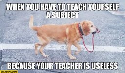 when-you-have-to-teach-yourself-a-subject-because-your-teacher-is-uselsess-dog-walking-himself.jpg