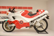 DSC_4560s.JPG DSC_4560s.JPG