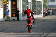 bild5.jpg