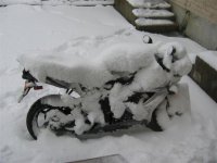 snowy.jpg