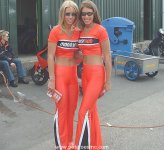 501-m.jpg
