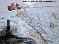 Polar_bears_near_north_pole 2019.jpg