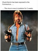 Chuck Norris virus.jpg