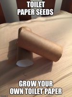 seed.jpg