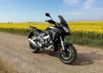 VFR800 och skånsk raps.jpg