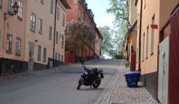 IMG_1675.JPG