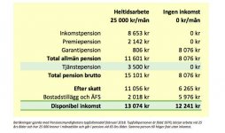 pensionsexempel.jpg