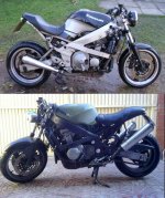 ZZR600.jpg