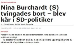 nina_s_sd.jpg