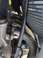 Honda krökar.jpg