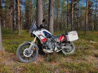 T7_skogen1_resize.jpg