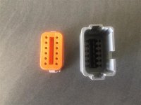 IMG_6994 (Small).JPG