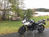 IMG_7675_liten.gif