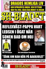 hoi copy.jpg