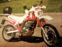 DR650DAKAR.jpg