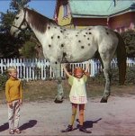 pippi och lilla gubben.jpg