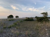 öland2.jpg