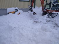 IMG_20210109_123521.jpg