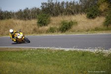 _MG_2628.jpg