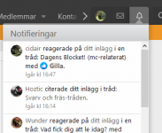Screenshot_2021-01-19 Startsidan - Sporthoj com.png