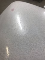 IMG_2446.jpeg